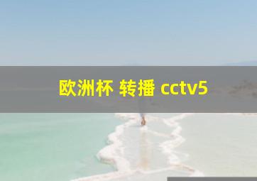 欧洲杯 转播 cctv5